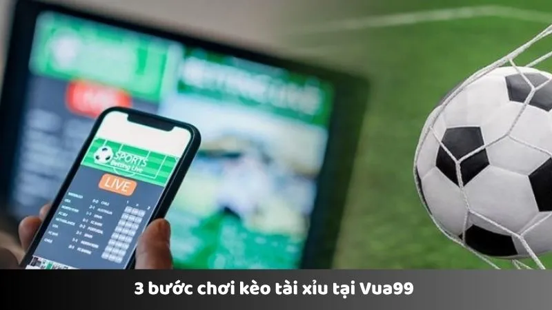 3 bước chơi kèo tài xỉu tại Vua99