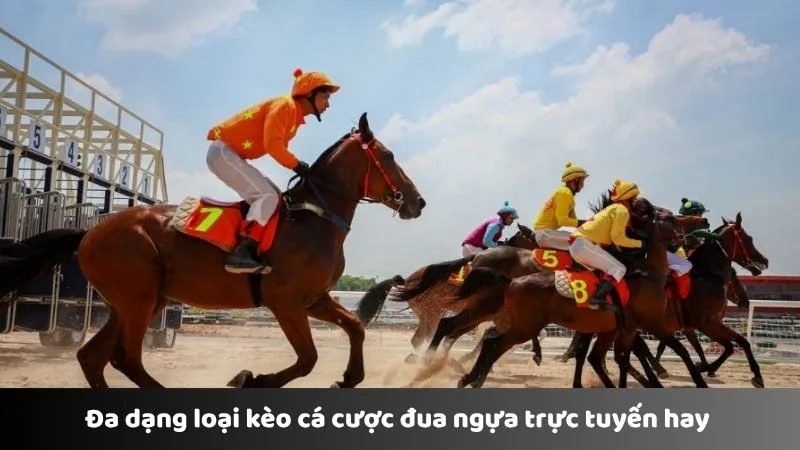 Đa dạng loại kèo cá cược đua ngựa trực tuyến hay 
