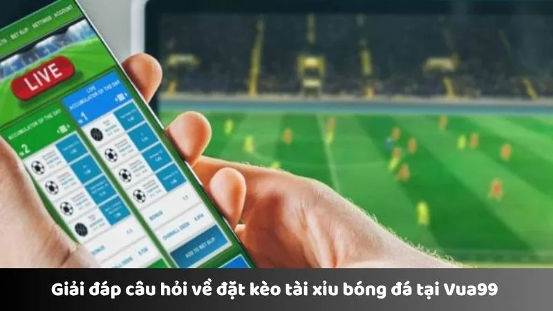 Giải đáp câu hỏi về đặt kèo tài xỉu bóng đá tại Vua99