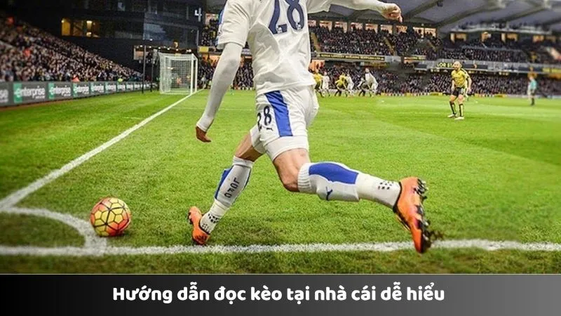 Hướng dẫn đọc kèo tại nhà cái dễ hiểu