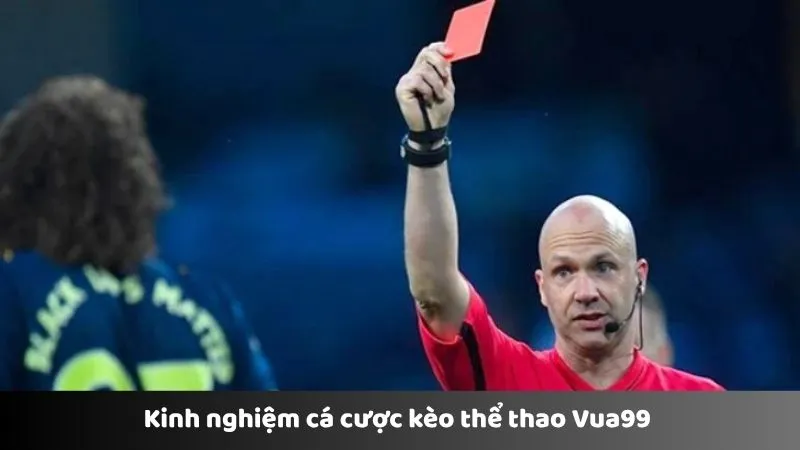 Kinh nghiệm cá cược kèo thể thao Vua99